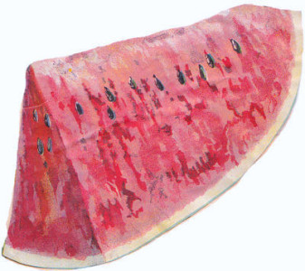 watermelonSlice