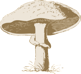 21555-mushroom-art-design